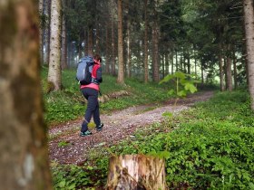 Bureckweg, &copy; Rudi Kefer
