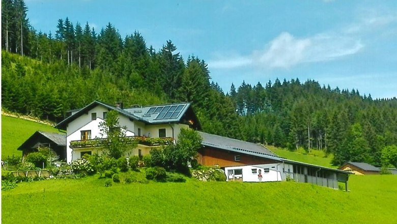 Bauernhof Seppenbauer im Sommer, © Augustine Ertelthalner