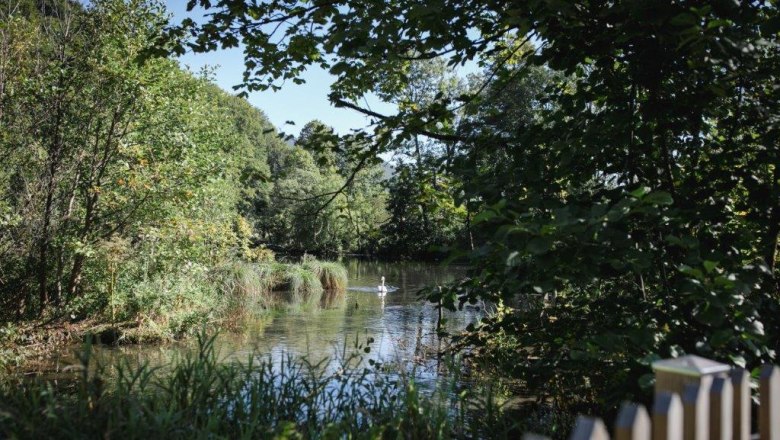 Ferienapartments Forst Kienberg, &copy; 2024 Forst Kienberg