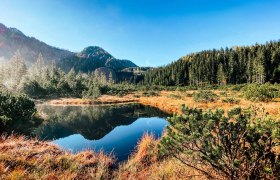 Naturschutzgebiet Leckermoor, &copy; Heidi Zettel