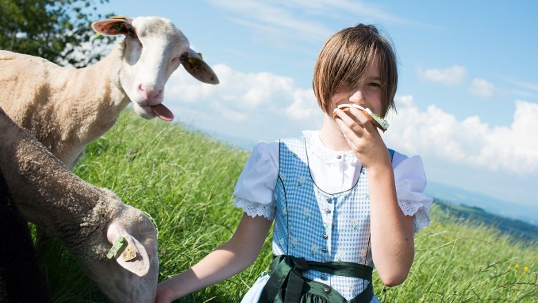 Bauernhaus Franzenreith, &copy; dphoto.at