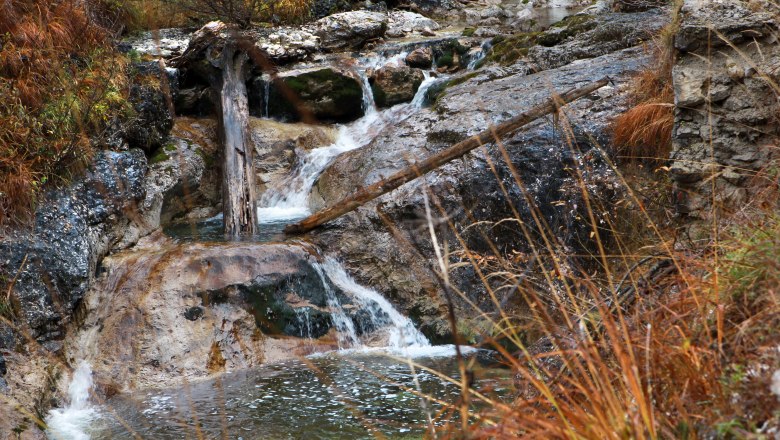 Kleiner Wasserfall im Wildnisgebiet Dürrenstein mit Felsen und herbstlicher Vegetation.