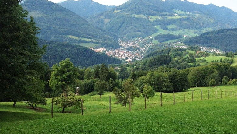 Blick von der Gschnaider Höhe auf eine grüne Landschaft mit Bergen und einem Dorf im Tal.