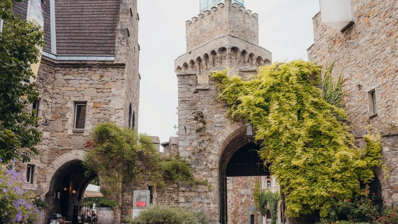 Eingangstor von Schloss Rothschild mit bewachsenen Steinmauern.