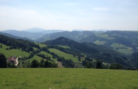 Panorama einer hügeligen Landschaft mit Wiesen und Wäldern unter blauem Himmel.