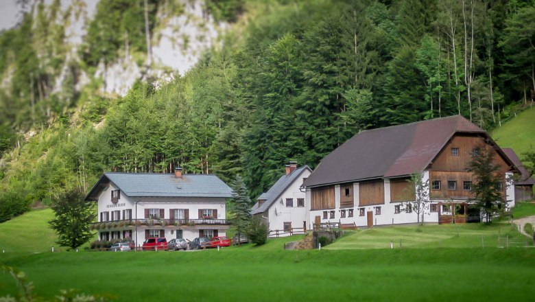 Zwei traditionelle Bauernhäuser in einer grünen, bewaldeten Landschaft.