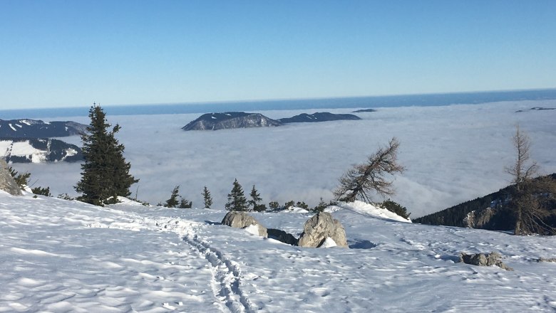 Winter in den Ybbstaler Alpen, &copy; Monika Stock