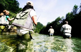 Vier Personen beim Fliegenfischen in einem klaren Fluss, umgeben von Wald.