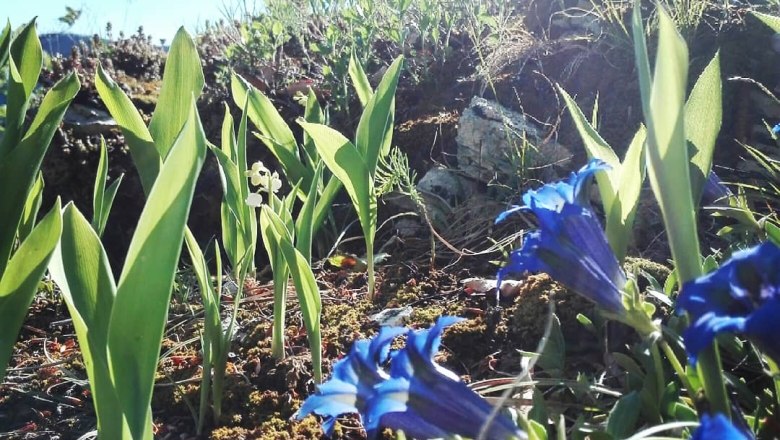 Ferienh&auml;user Kogelsbach, &copy; S. Heigl / Ferienh&auml;user Kogelsbach