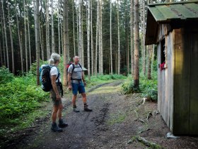 Durch den Wald pilgern, &copy; Mostviertel