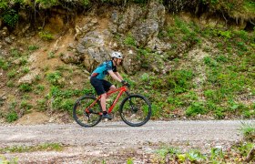 MTB_Mannalleine, &copy; (C) Wolfgang Wutzl