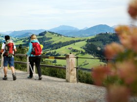 Am Sonntagberg, © weinfranz.at