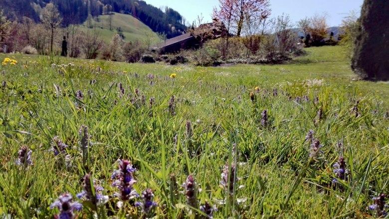Ferienh&auml;user Kogelsbach, &copy; S. Heigl / Ferienh&auml;user Kogelsbach