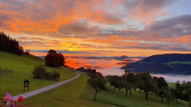 Morgenstimmung, &copy; Melanie Schweighuber