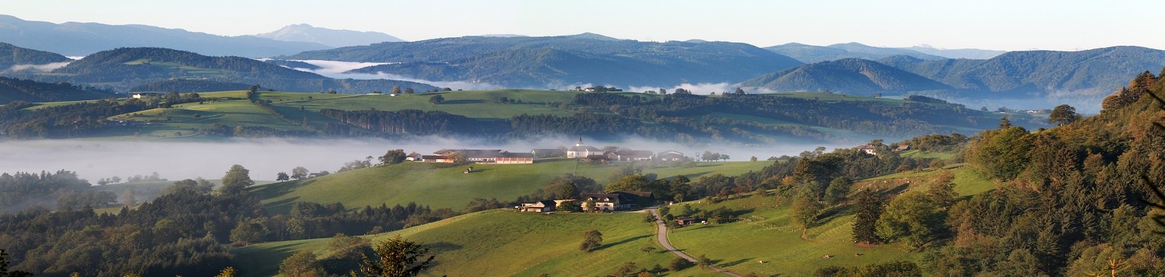 Panoramahöhenweg , © weinfranz.at