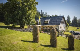 Almhaus Hochbärneck, © Theo Kust