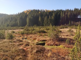 Hochreit_c_YTA (45), &copy; Weinfranz
