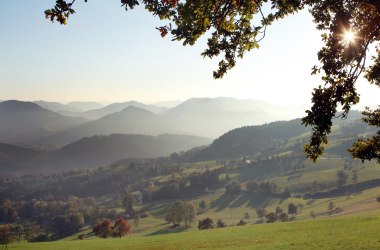 Herrlich ist die Aussicht am Panoramahöhenweg., © weinfranz.at