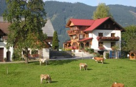 Bauernhof mit Kühen auf einer Wiese vor einem traditionellen Haus in den Alpen.