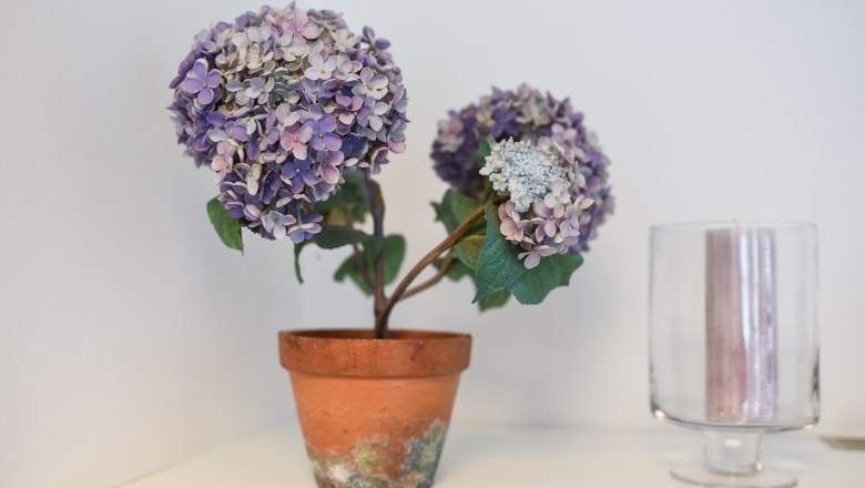 Superior Apartment, &copy; Apartment zum Ybbsturm