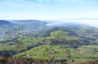 Blick über Scheibbs, © zVg Stadtgemeinde Scheibbs