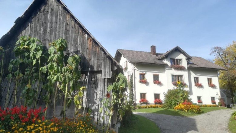 Bauernhof Familie Plachl, © Plachl