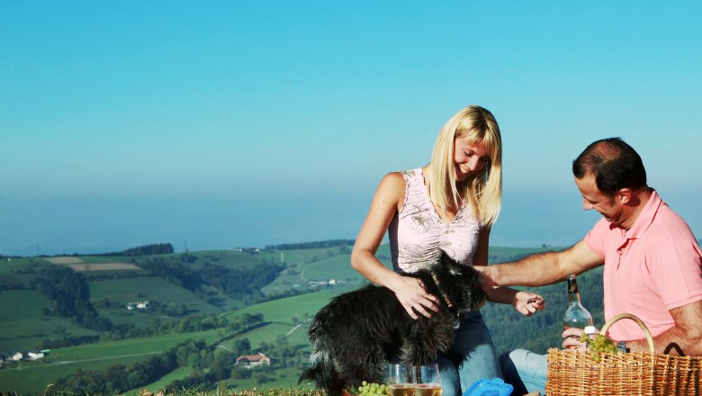 Picknicken am Panoramahöhenweg, © Mostviertel Tourismus, weinfranz.at