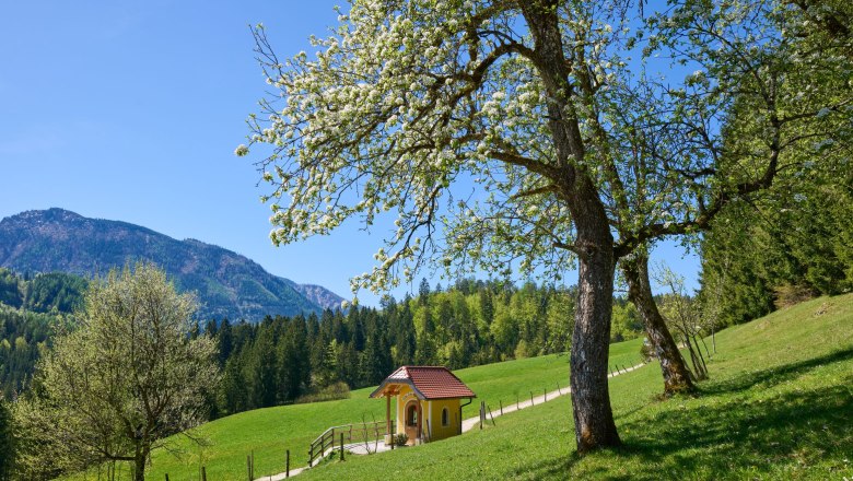 Eine kleine Kapelle steht auf einer gr&uuml;nen Wiese, umgeben von bl&uuml;henden B&auml;umen und Bergen im Hintergrund.