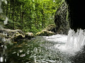 Ein versteckter Wasserfall pl&auml;tschert sanft in einem idyllischen Wald, umgeben von &uuml;ppigem Gr&uuml;n und dem beruhigenden Klang der Natur. Die klare, erfrischende Luft l&auml;dt Wanderer ein, die Sch&ouml;nheit dieser unber&uuml;hrten Landschaft zu genie&szlig;en und sich in der friedlichen Atmosph&auml;re zu verlieren.