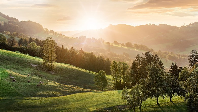 Wiesberg, &copy; schwarz.koenig.at