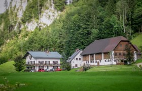 Zwei traditionelle Bauernhäuser in einer grünen, bewaldeten Landschaft.