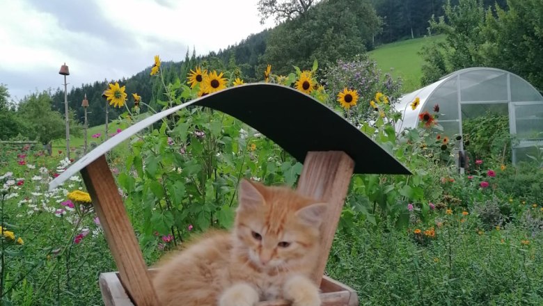 ferienhaus-lenzau-6, &copy; Ferienhaus Lenzau