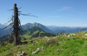 Haute Route 11. Etappe: G&ouml;stling &ndash; Hollenstein, &copy; Mostviertel