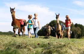 Lamawanderland, &copy; schwarz-koenig.at
