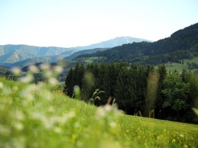 Die sanften H&uuml;gel und &uuml;ppigen W&auml;lder laden zu unvergesslichen Wanderungen ein. Hier, wo die Natur in voller Bl&uuml;te steht, k&ouml;nnen Besucher die frische Bergluft genie&szlig;en und die atemberaubenden Ausblicke auf die umliegenden Berge bewundern.