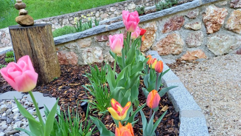 Vorgarten, &copy; Reisenbichler