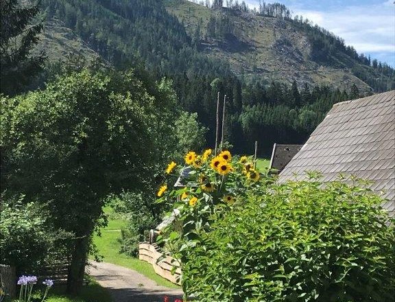 Ausblick Bauernhof, &copy; Plachl