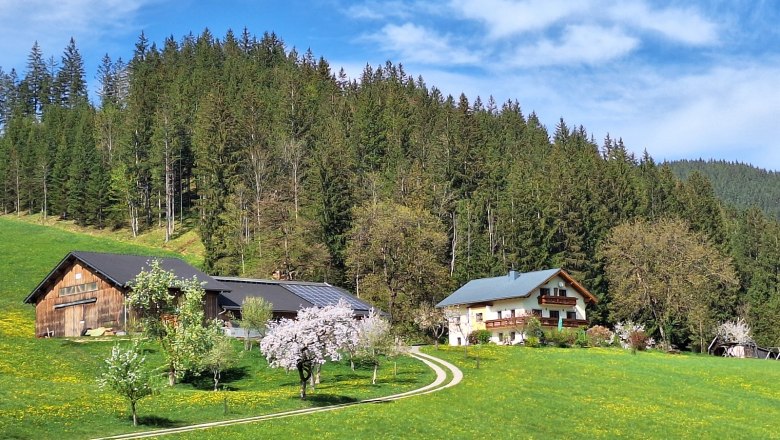 Biobauernhof Poidlbauer, © Poidlbauer