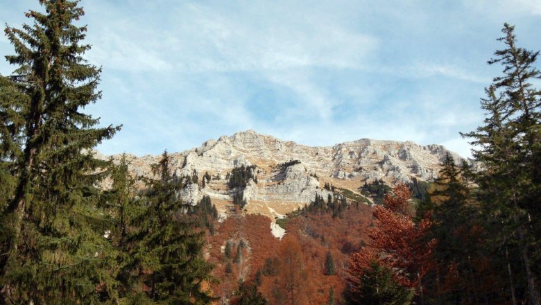 Berglandschaft mit dem D&uuml;rrenstein im Hintergrund, umgeben von Nadelb&auml;umen und herbstlich gef&auml;rbtem Laub.