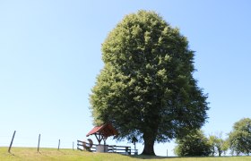 Mostbrunnen Vorderweg, &copy; Gemeinde Gresten-Land