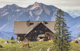 Ybbstalerhütte, © Theo Kust