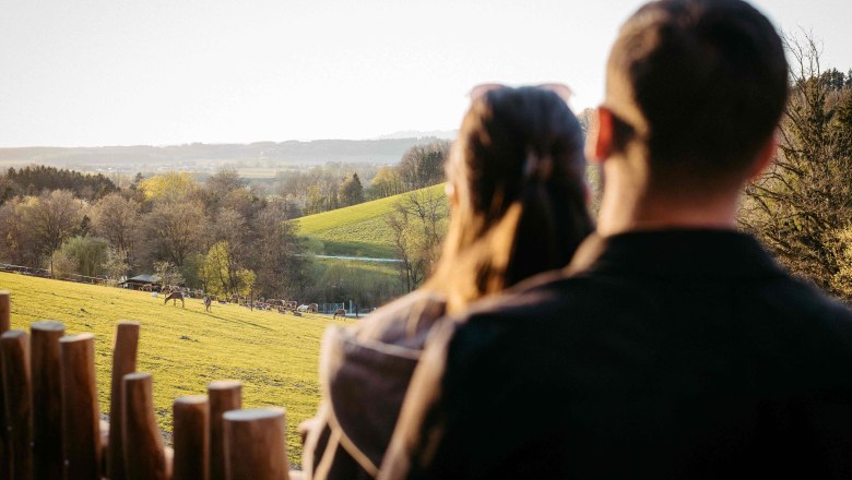 Wildpark Lodges, &copy; Schafranek