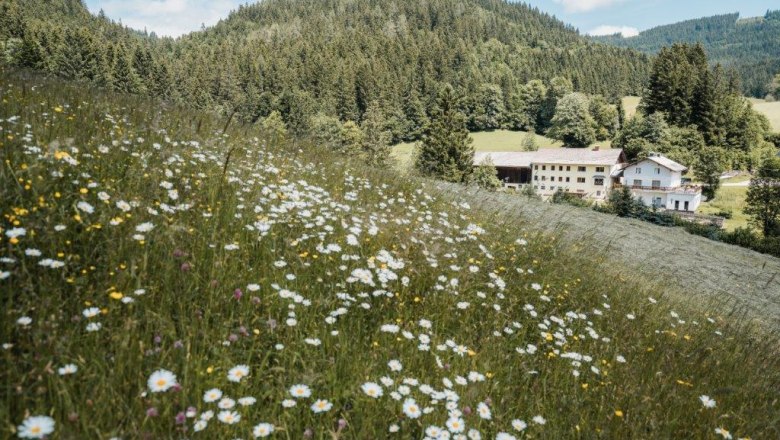 Biohof Teufel, &copy; Gerald Demolsky