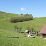 Urlaub am Bauernhof-Oberrehau, &copy; Andrea Kronsteiner