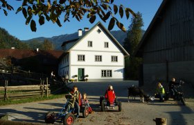 Kinder spielen auf einem Bauernhof mit Kettcars und einer Ziege im Vordergrund.