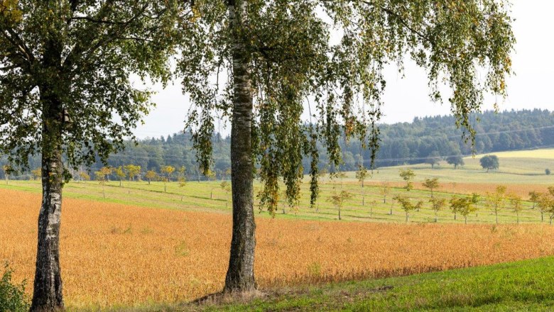 NUSSLAND, die Nussknacker die veredeln, &copy; Theo Kust