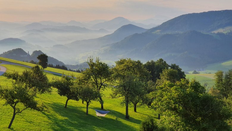 Biobauernhof Mitterhirschberg, &copy; Familie Schweighuber