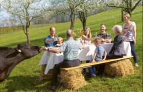 Mostviertler Hof-Erlebnisse – Genuss in Gemeinschaft, © Theo Kust