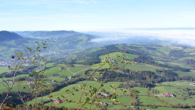 Blick über Scheibbs, © zVg Stadtgemeinde Scheibbs