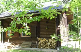 Blockhütte im Wald mit Holzstapel und grünen Blättern im Vordergrund.